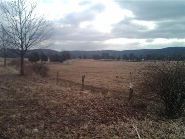 open field